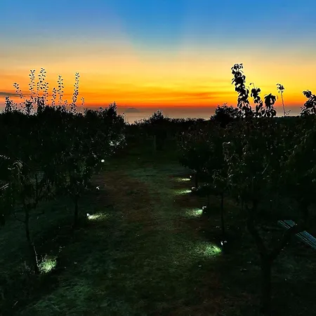 Ferienhaus Casa Micia *