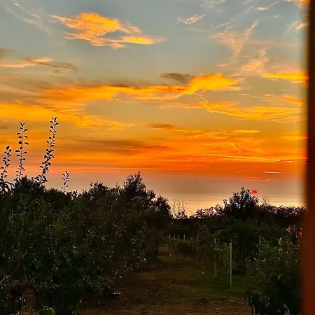 Casa vacanze Casa Micia Spilinga