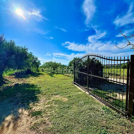 Ferienhaus Casa Micia