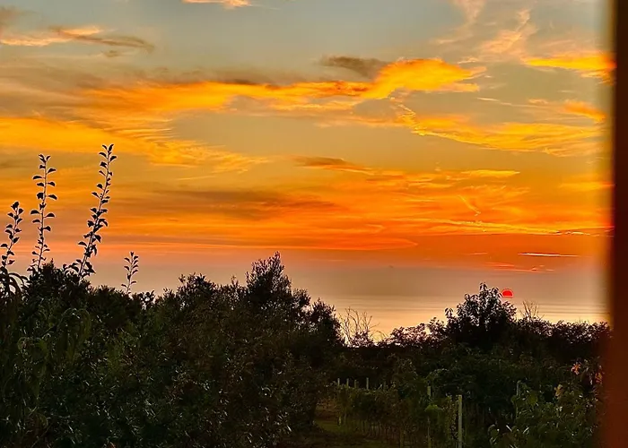 度假居 Casa Micia Spilinga