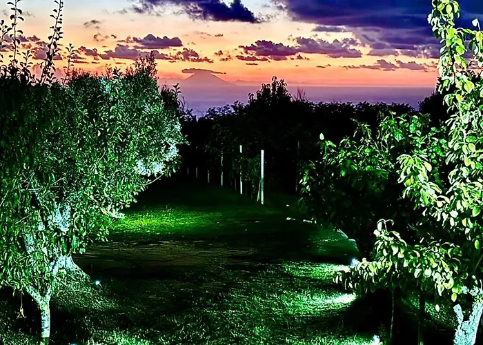 度假居 Casa Micia *